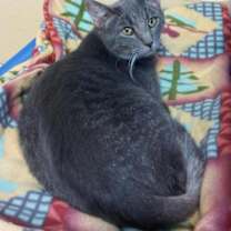 Thumbnail photo of Maggie #2