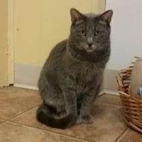 Thumbnail photo of Maggie #3