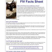 Thumbnail photo of Stewie #2