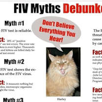 Thumbnail photo of Stewie #3