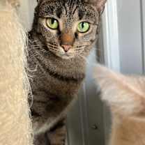 Thumbnail photo of Uniqua #4