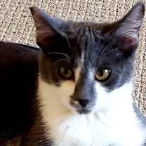 Thumbnail photo of Ruby #1