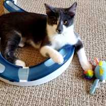 Thumbnail photo of Ruby #2