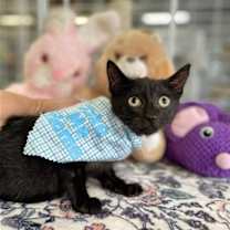 Thumbnail photo of Mikkel #1