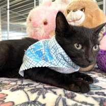 Thumbnail photo of Mikkel #2