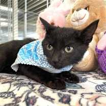 Thumbnail photo of Mikkel #3