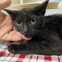 Thumbnail photo of Mikkel #4