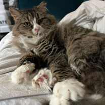 Thumbnail photo of Courtesy Post: Etta #3
