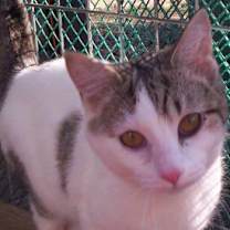 Thumbnail photo of Emilie (sweet, loving) #1