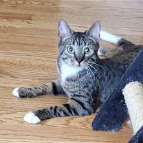 Thumbnail photo of Wally #2