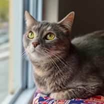 Thumbnail photo of Sicily #3