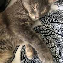 Thumbnail photo of Sicily #4