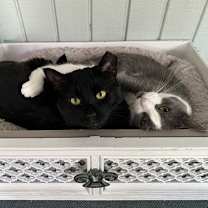 Thumbnail photo of Ranger #2