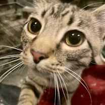 Thumbnail photo of Charlie #2