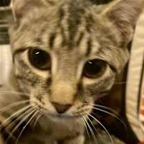 Thumbnail photo of Charlie #3