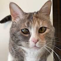 Thumbnail photo of Luna #1