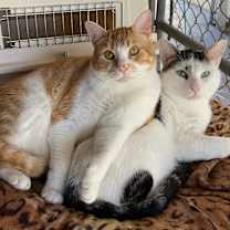 Thumbnail photo of Mason #3