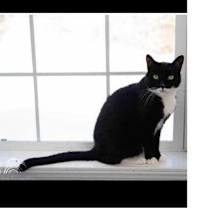 Thumbnail photo of Rascal #1