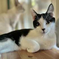 Thumbnail photo of Greta T #1