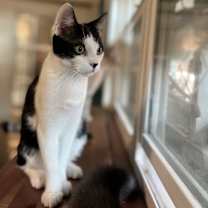 Thumbnail photo of Greta T #4