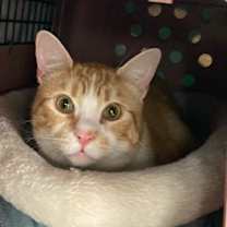 Thumbnail photo of Mason #1