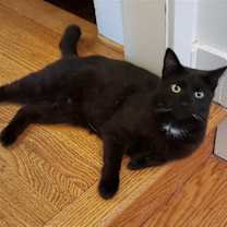 Thumbnail photo of Roada #1