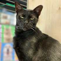 Thumbnail photo of George #1