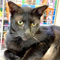 Thumbnail photo of George #2