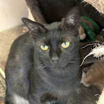 Thumbnail photo of George #3