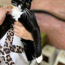 Thumbnail photo of Maia #2