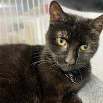 Thumbnail photo of Lara #3