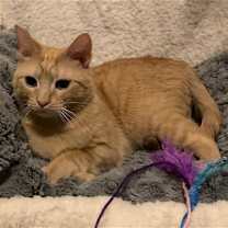 Thumbnail photo of Spice #1