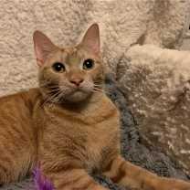 Thumbnail photo of Sugar #1