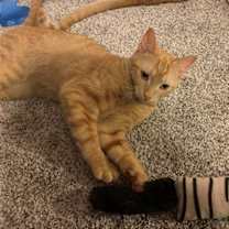 Thumbnail photo of Sugar #2