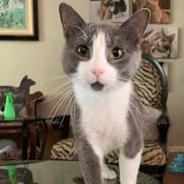 Thumbnail photo of Ranger #4