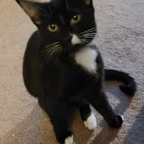 Thumbnail photo of Sasha #1