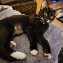 Thumbnail photo of Sasha #3