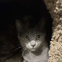 Thumbnail photo of Michelle(Fred,Veronica) #3