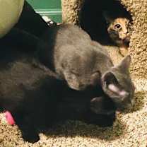 Thumbnail photo of Michelle(Fred,Veronica) #4