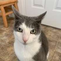 Thumbnail photo of Holly #1