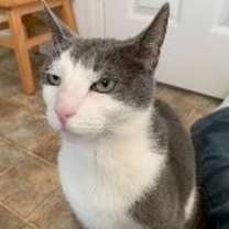 Thumbnail photo of Holly #2