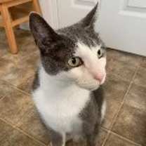 Thumbnail photo of Holly #3