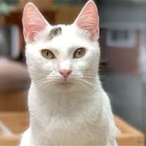 Thumbnail photo of Bea #2