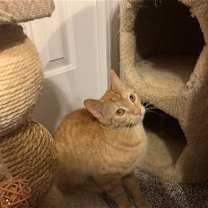 Thumbnail photo of Sugar #3