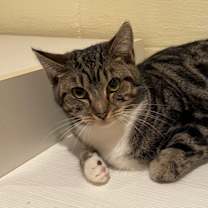 Thumbnail photo of Berkeley (LE) #1