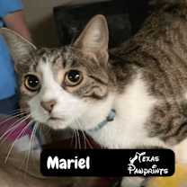Thumbnail photo of Mariel #1