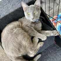 Thumbnail photo of Andujar Michelle #1