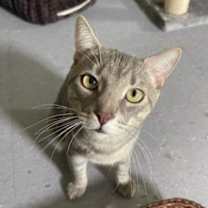 Thumbnail photo of Mykos #1