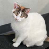 Thumbnail photo of Mary Anne #2