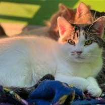 Thumbnail photo of Mary Anne #3